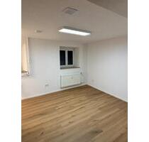 Charmante 1.Zimmer Wohnung in Singen zu vermieten - Singen (Hohentwiel)