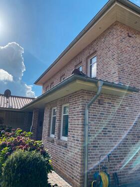 Foto - 6 Zimmer Einfamilienhaus in Sittensen