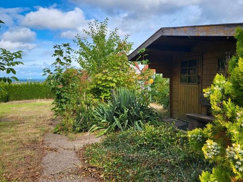 Foto - 350m² Gartengrundstück privat zu verpachten