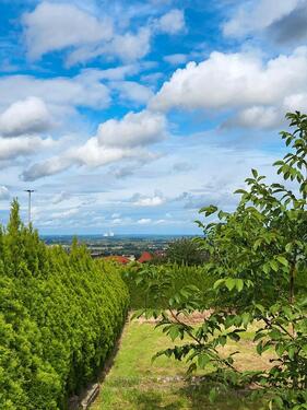Foto - Grundst&uuml;ck in Obernkirchen zur Miete