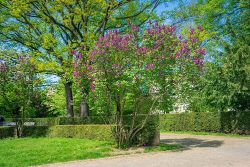 Foto - Etagenwohnung in Chemnitz zur Miete