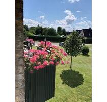 Schöne & Soziale 3 Zimmerwohnung ☀️ - Itzehoe