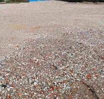 Freifläche Lagerfläche eingezäunt zu vermieten - Schrobenhausen