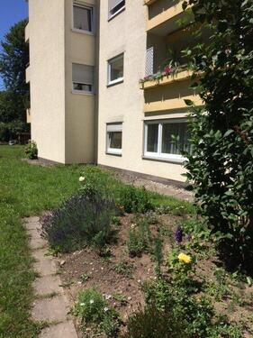 Foto - 3 Zimmer Erdgeschoßwohnung zur Miete in Waldshut-Tiengen