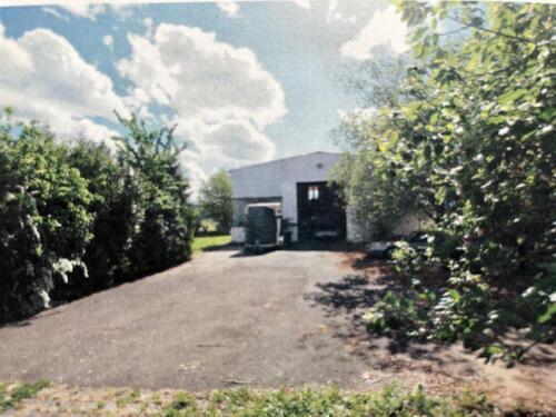 Foto - andere in Breisach am Rhein