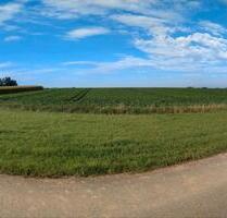4,5 ha Acker landwirtschaftliche Fläche - Reinvestition - Leiblfing