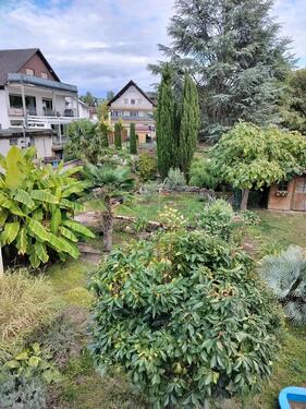 Foto - 8 Zimmer Einfamilienhaus in Heßheim