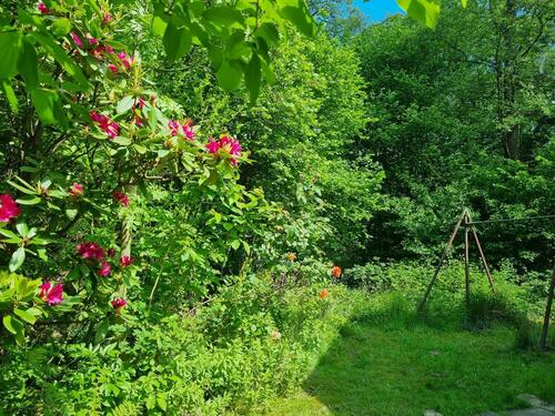 Foto - 6 Zimmer Einfamilienhaus zum Kaufen in Syke