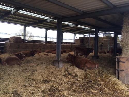 Foto - 8 Zimmer Mehrfamilienhaus, Wohnhaus zum Kaufen in Coswig (Anhalt)