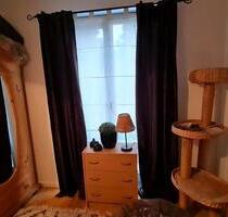 Kleines WG Zimmer in meiner Wohnung - Berlin Neukölln