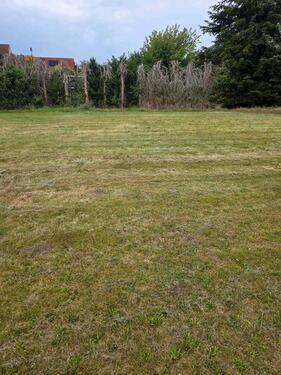 Foto - 4 Zimmer Einfamilienhaus in Wietze