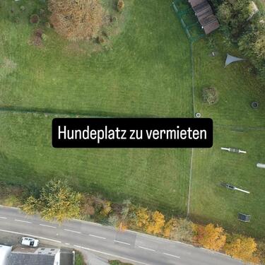 Foto - Hundeplatz zu vermieten - 16,00&nbsp;EUR Kaltmiete, ca.&nbsp; 0,00&nbsp;m&sup2;