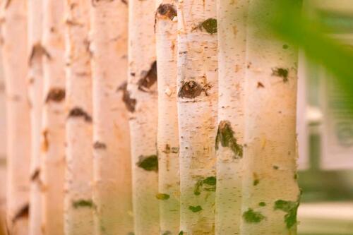 Foto - andere in München zur Miete