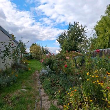 Foto - 4 Zimmer Einfamilienhaus zum Kaufen in Radibor