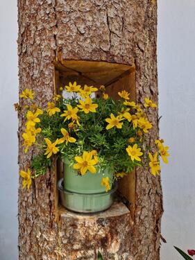 Foto - Gemütliche 3-Zi. Wohnung in Großdingharting, Gartenanteil möglich