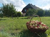 Foto - Bauernhof mit Obstgarten und Garagen