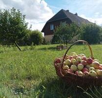 Bauernhof mit Obstgarten und Garagen - Penzlin