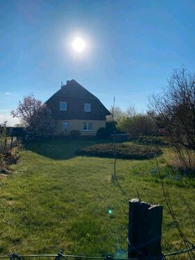 Foto - 6 Zimmer Einfamilienhaus zum Kaufen in Penzlin