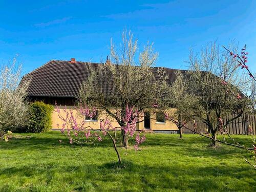 Foto - Einfamilienhaus in Penzlin zum Kaufen