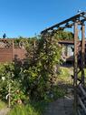 Foto - Schrebergarten abzugeben - 2.300,00 EUR Kaltmiete, ca.  0,00 m²