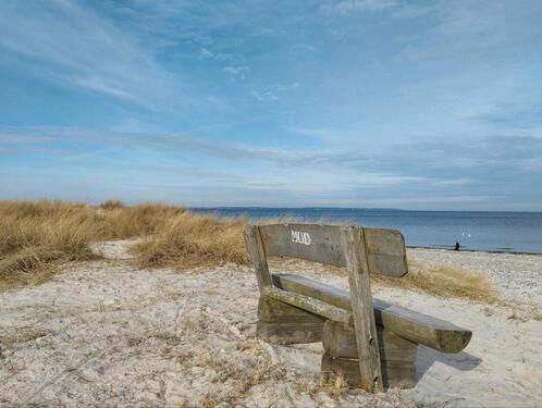 Foto - Sommer an der Ostsee Ferienwohnung Probstei für 6 Personen Sauna