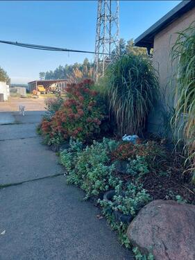 Foto - 12 Zimmer Einfamilienhaus in Forst (Lausitz)