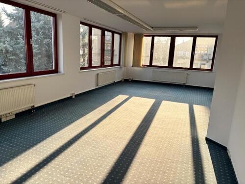 Foto - andere in Dresden