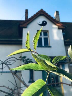 Foto - 2-Zimmer-Wohnung in Salzwedel – mit Gartenanteil