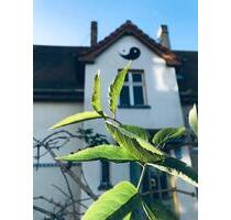 2-Zimmer-Wohnung in Salzwedel – mit Gartenanteil