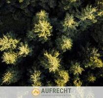 A U F R E C H T °0,72 ha Waldfläche° in der Gmd. Jetzendorf - weitere Flächen verfügbar