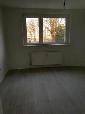 Foto - 3 Zimmer Erdgeschoßwohnung zur Miete in Braunschweig