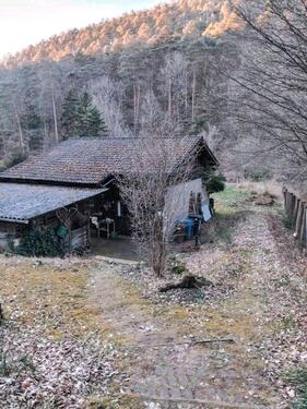 Foto - 