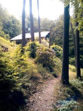Foto - 5 Zimmer Einfamilienhaus zum Kaufen in Lemberg