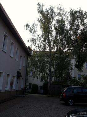 Foto - andere zur Miete in Riesa
