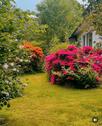 Foto - andere in Aurich