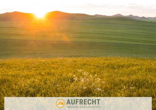 Foto - A U F R E C H T °0,46 ha LNF in der Gmd. Jetzendorf°