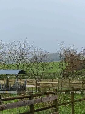 Foto - Anwesen f. Pferde m. Stallungen, 34Ha Land in F 70160 Contreglise