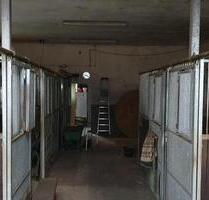 Stellplätze für Motorräder, Lagerraum - Uetze