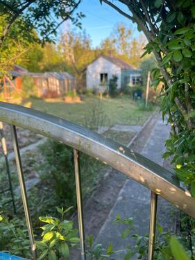 Foto - Schrebergarten mit vielen Extras