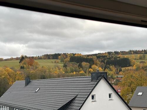 Foto - Neu renovierte 4-Zimmer Wohnung mit EBK