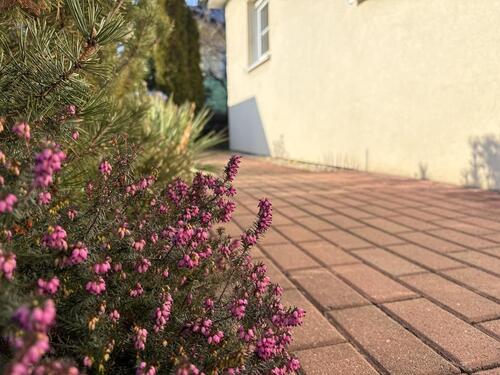 Foto - Einfamilienhaus in Zwickau zur Miete