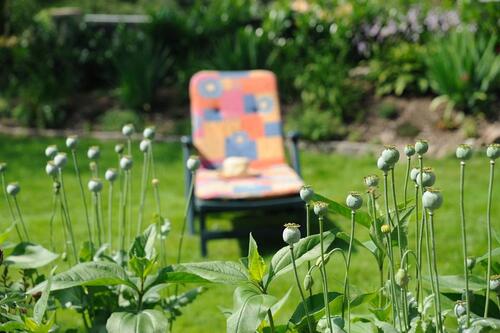Foto - andere zur Miete in Bad Doberan
