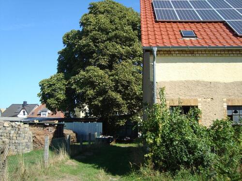 Foto - Angebot für großes Grundstück mit Scheune, Stall und Garten