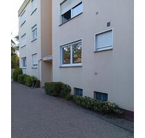 Attraktive 2-Zimmer-Wohnung im Erdgeschoss nach Kernsanierung - Herford Falkendiek
