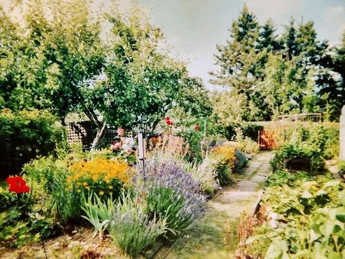 Foto - Kleingarten Pachtgarten in Jena