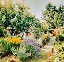 Kleingarten Pachtgarten in Jena