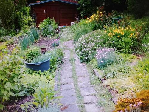 Foto - Grundst&uuml;ck zur Miete in Jena