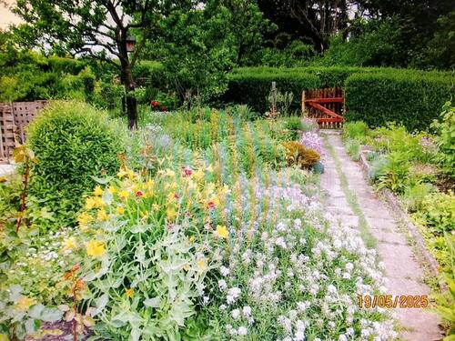 Foto - Grundst&uuml;ck in Jena