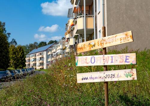 Foto - 3 Zimmer Etagenwohnung zur Miete in Chemnitz