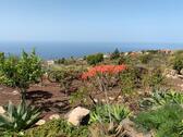 Foto - La Palma Kanaren isla bonita Sonderpreise Sommer 2026